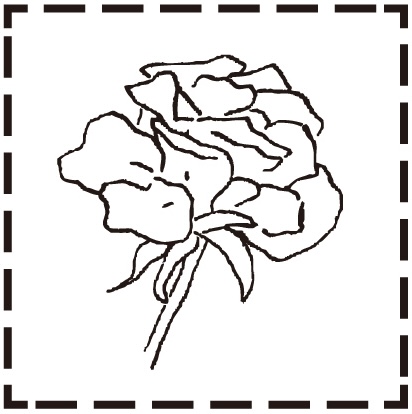 B�^�C�v�i�ŉ����e�j